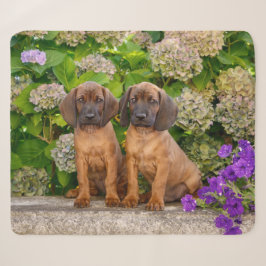 Cobertor Sherpa Cachorros de Caça da Baviera, Cute Bavarian, com F