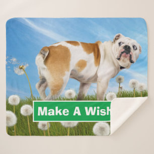 Cobertor Sherpa Cães com Dandelion