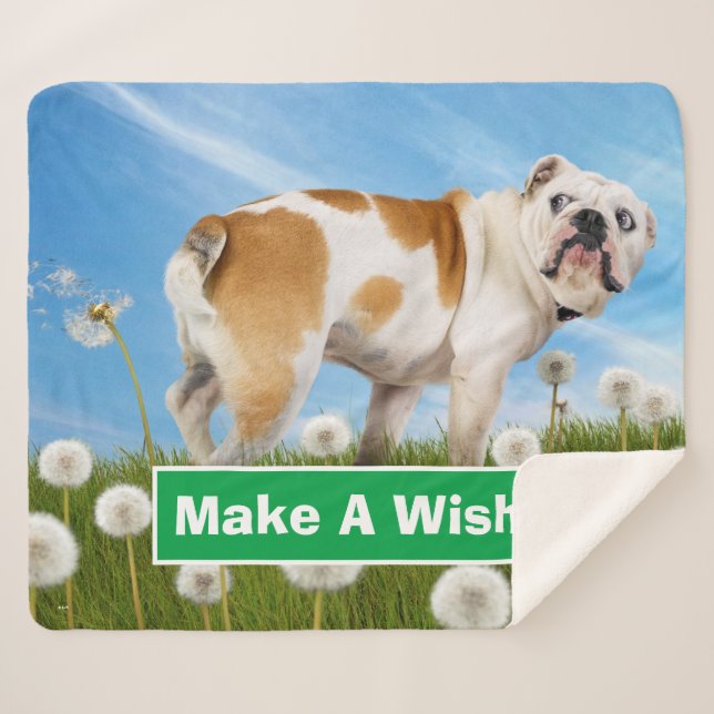 Cobertor Sherpa Cães com Dandelion (Frente (Horizontal))