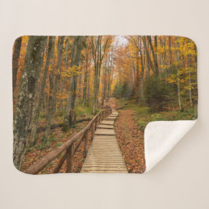 Cobertor Sherpa Caminho pela floresta do outono.