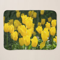 Campo de tulipas amarelas brilhantes