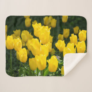 Cobertor Sherpa Campo de tulipas amarelas brilhantes