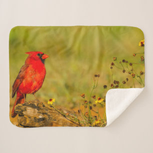 Cobertor Sherpa Cardinal macho em tronco
