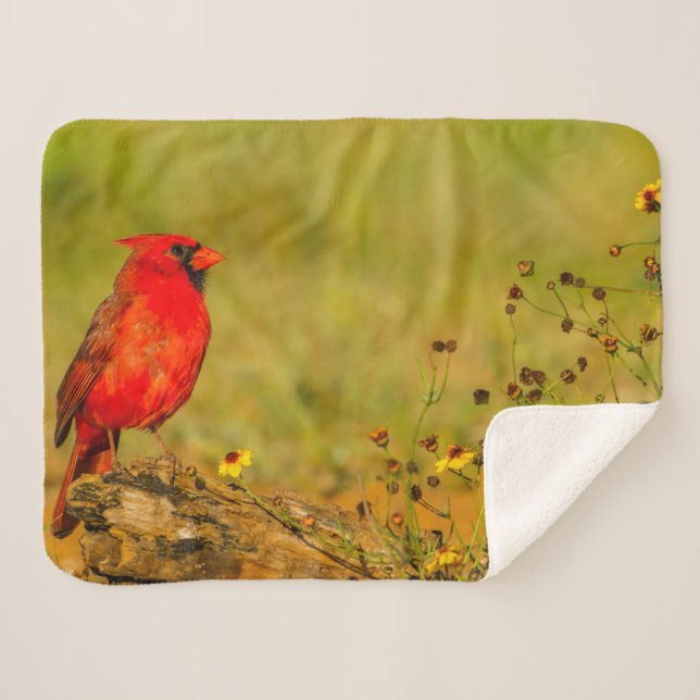 Cobertor Sherpa Cardinal macho em tronco (Frente (Horizontal))