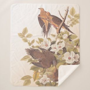 Cobertor Sherpa Carolina Pigeon ou Mourning Dove