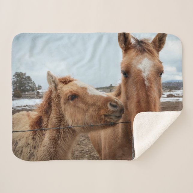 Cobertor Sherpa Cavalo-Mãe e Galo (Frente (Horizontal))