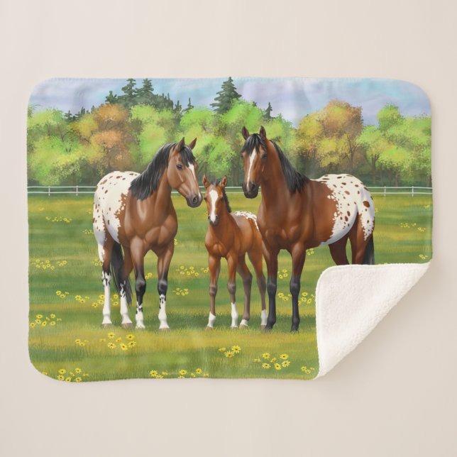 Cobertor Sherpa Cavalos Appaloosa De Baía Castanha Em Pastas De Ve (Frente (Horizontal))