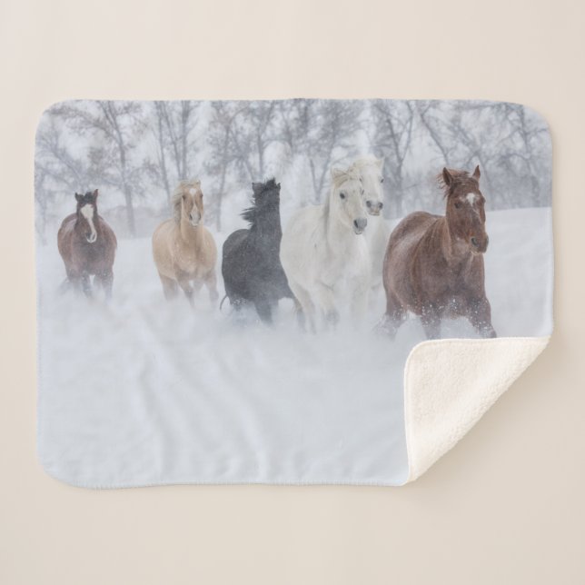 Cobertor Sherpa Cavalos Correndo Pela Neve (Frente (Horizontal))