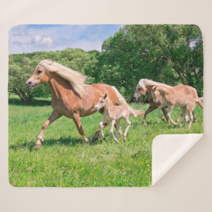 Cobertor Sherpa Cavalos de Haflinger com Pés Bonitos Rodam Foto En