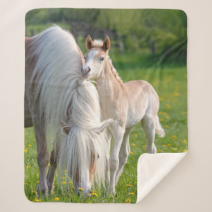 Cobertor Sherpa Cavalos De Haflinger Façam Um Foco De Bebê Com F