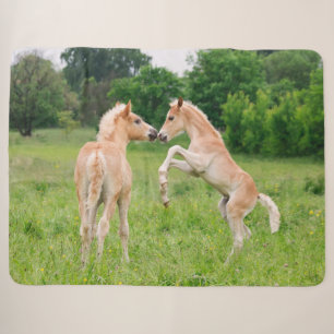 Cobertor Sherpa Cavalos de Haflinger Fala Amigos Recolhendo Foto
