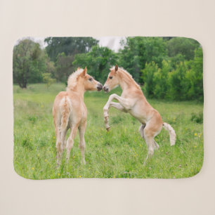 Cobertor Sherpa Cavalos de Haflinger Fala Amigos Recolhendo Foto