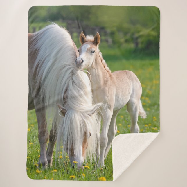 Cobertor Sherpa Cavalos de Haflinger Um Prato De Bebê Bonito Com F (Frente)