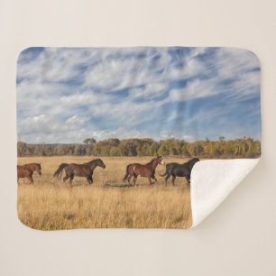 Cobertor Sherpa Cavalos Fora Do Parque Nacional Grand Teton