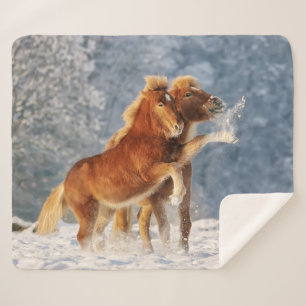Cobertor Sherpa Cavalos Islandeses Brincando com a Foto Engraçada 