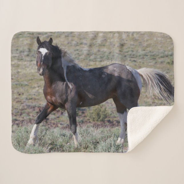 Cobertor Sherpa Cavalos Selvagens após Banho de Poeira (Frente (Horizontal))