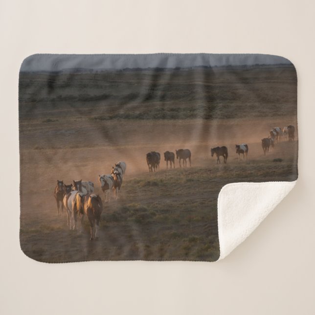 Cobertor Sherpa Cavalos Selvagens Caminhando Para O Deserto (Frente (Horizontal))