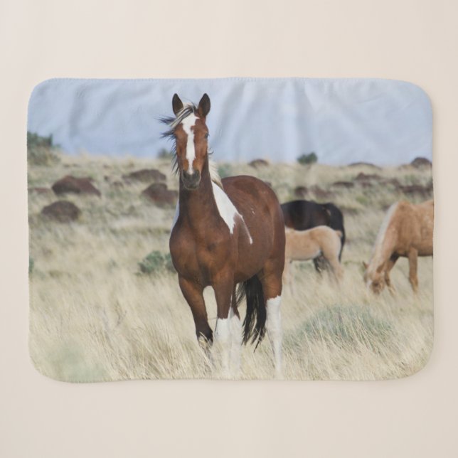 Cobertor Sherpa Cavalos Selvagens, Montanhas Steens (Frente (Horizontal))