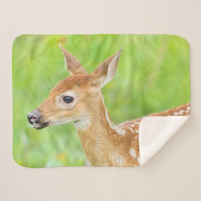 Cobertor Sherpa Cervo-de-cauda-branca Jovem | Minnesota (Frente (Horizontal))