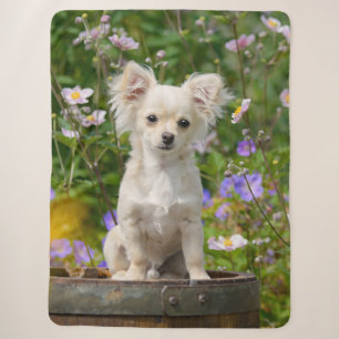 Cobertor Sherpa Chalé-de-cabelos-brancos Chihuahua Cachorro Puppy