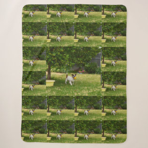 Cobertor Sherpa Charlie The Fox Terrier Toca Tempo, Sherpa Blanket