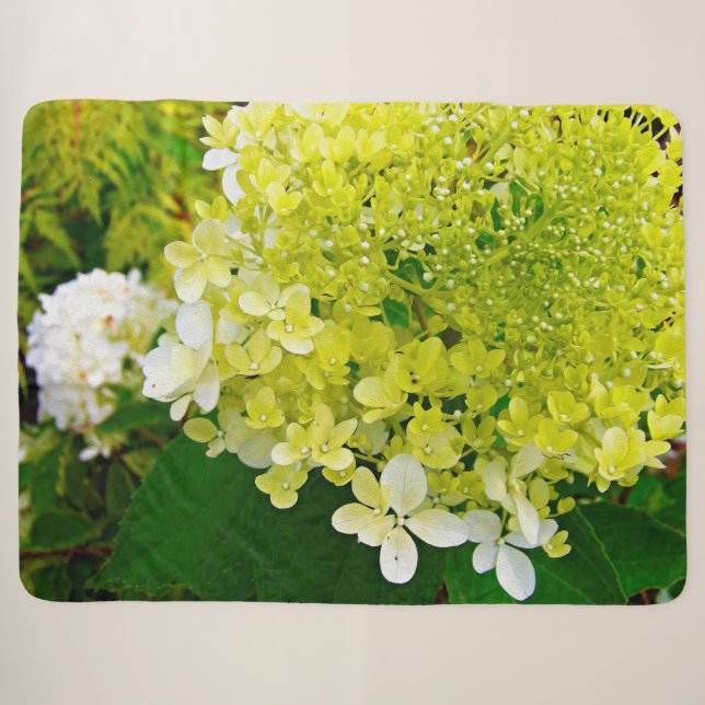 Cobertor Sherpa Chartreuse Verde, Limelight Hortênsia, (Frente (Horizontal))