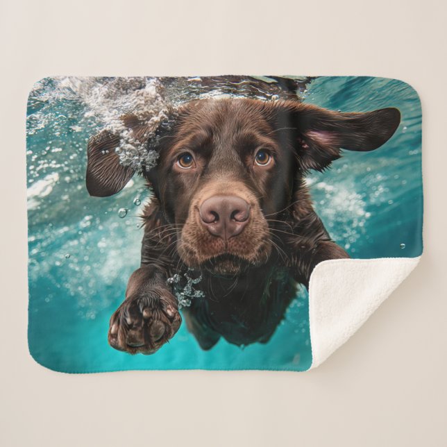 Cobertor Sherpa Chocolate Jogado Labrador Nadando Submarino (Frente (Horizontal))