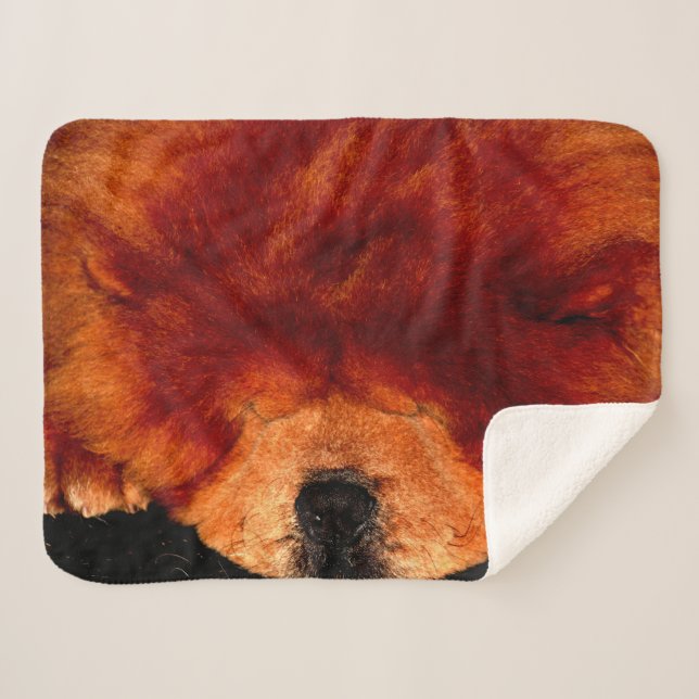 Cobertor Sherpa Chow Chow Sbcnm Dormindo (Frente (Horizontal))