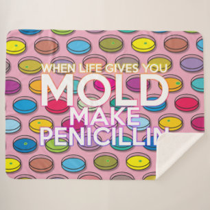 Cobertor Sherpa Citação Moderna Colorida Divertida e Legal de Ciên