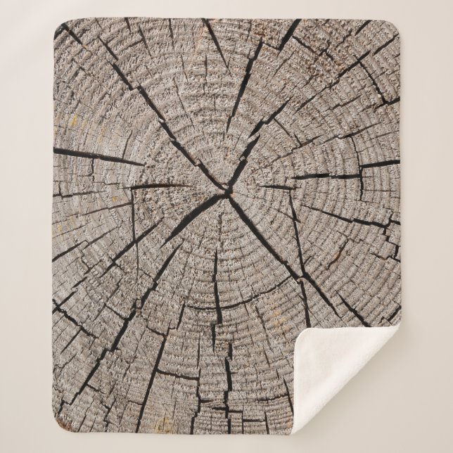 Cobertor Sherpa Close up gray background texture of old weathered  (Frente)