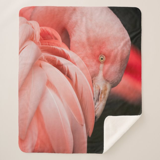 COBERTOR SHERPA CLOSE UP PHOTOGRAPHY OF A PINK BIRD (Frente)
