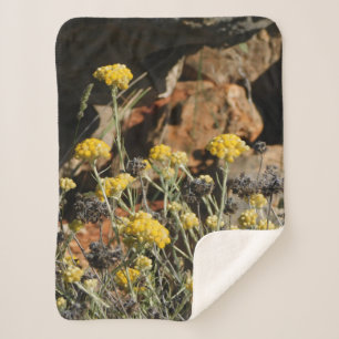 Cobertor Sherpa Cobertura