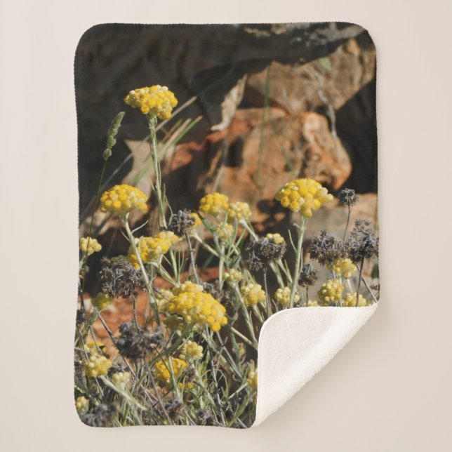 Cobertor Sherpa Cobertura (Frente)