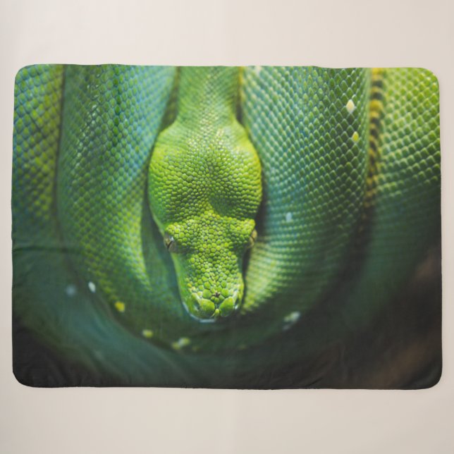 COBERTOR SHERPA COBRA VERDE (Frente (Horizontal))