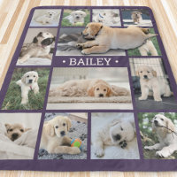 Colagem de Fotografias de Cães Simples Roxo Modern