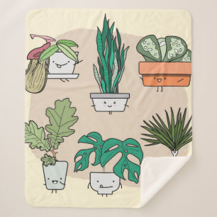 Cobertor Sherpa Conjunto de lindas plantas caseiras em potes. bot