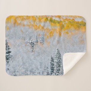 Cobertor Sherpa Cores de Outono dos Álamos Montanhas Rochosas, C