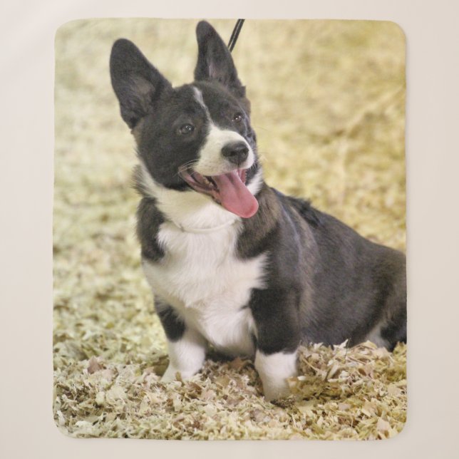Cobertor Sherpa Corgi (Frente)