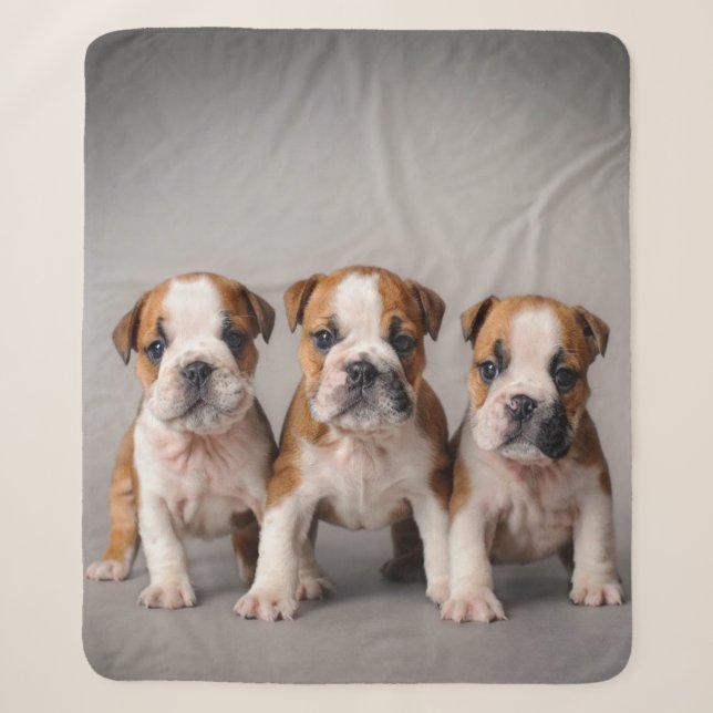 Cobertor Sherpa Cuppies de Bulldog Cortes | Presente para adultos  (Frente)