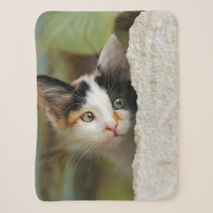 Cobertor Sherpa Curioso Gato Gato Gato Gato Gritando Cabeça De Ol