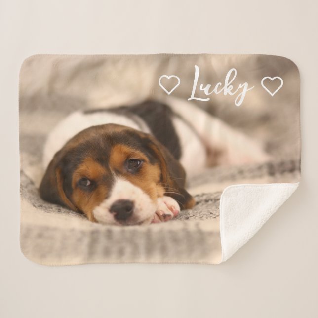 Cobertor Sherpa Custom Pet Photo & Name Sherpa Blanket (Frente (Horizontal))