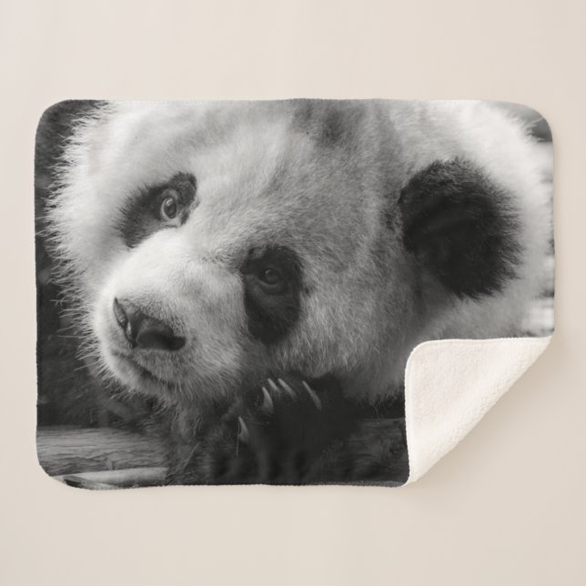 Cobertor Sherpa Cutest Baby Animals | Giant Panda Bear Cub (Frente (Horizontal))