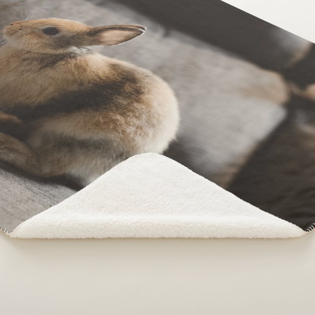 Cobertor Rabbit