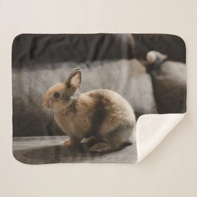 Cobertor Rabbit