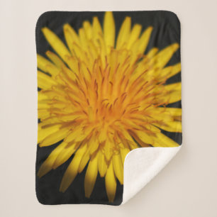 Cobertor Sherpa Dandelion Flower sbcna