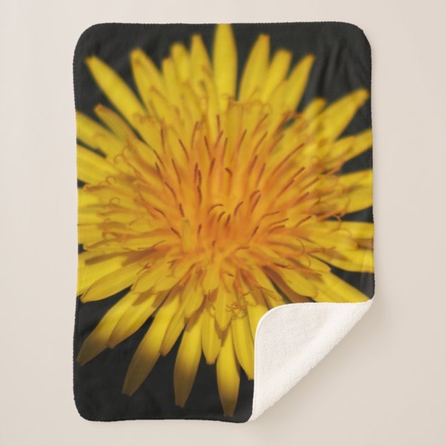 Cobertor Sherpa Dandelion Flower sbcna (Frente)