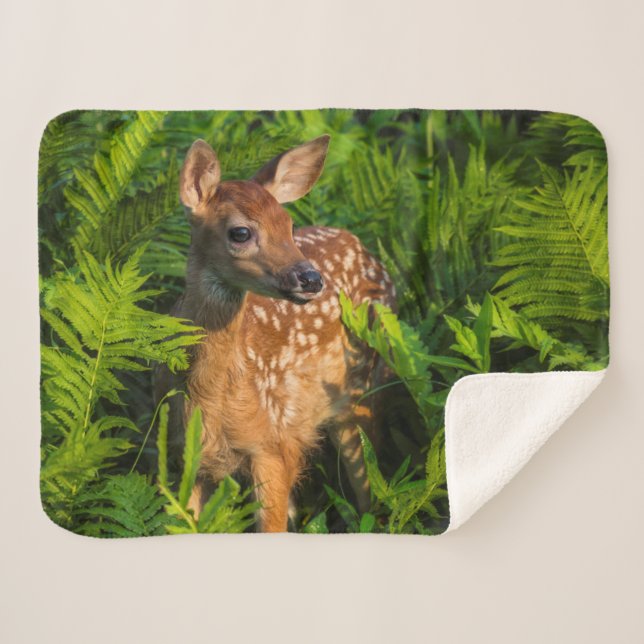 Cobertor Sherpa Deer Fawn de cauda branca | Minnesota (Frente (Horizontal))