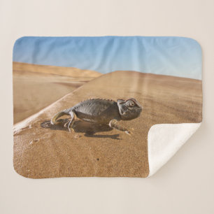 Cobertor Sherpa Desertos   Namaqua Chameleon no Deserto