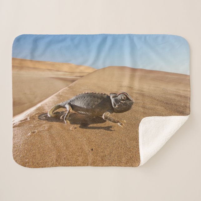 Cobertor Sherpa Desertos | Namaqua Chameleon no Deserto (Frente (Horizontal))
