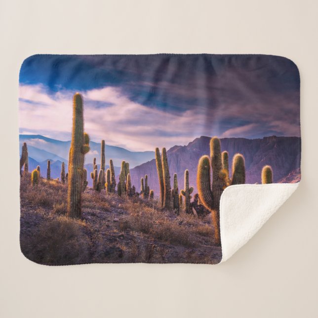 Cobertor Sherpa Deserts | Cactus Landscape Argentina (Frente (Horizontal))